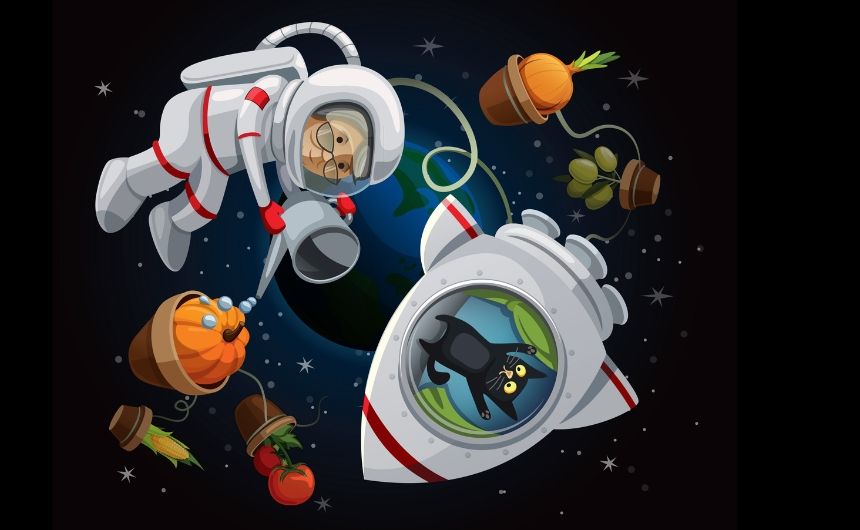 NASA, Uzayda Hangi Meyveyi Yetiştirecek?