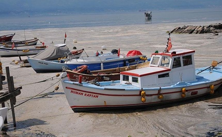 Müsilaj balıklarda zehir etkisi yaratır mı? 