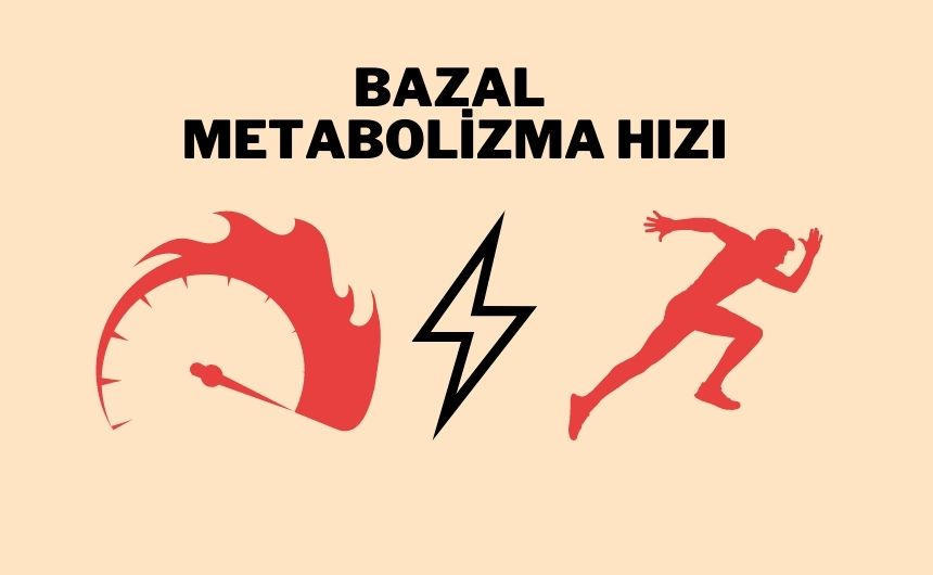 Bazal Metabolizma Hızı 
