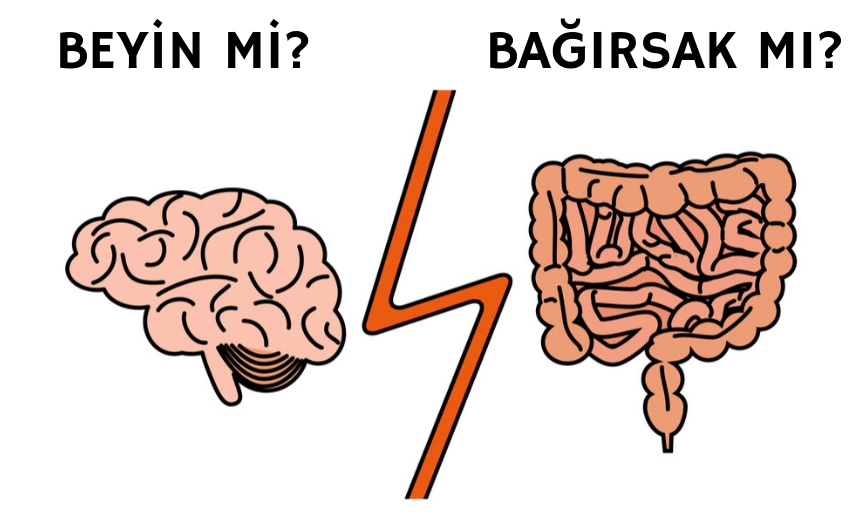 Parkinson Bağırsakta Mı Başlıyor?