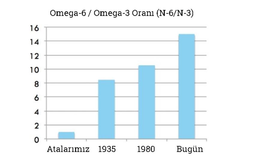 omega3.jpg