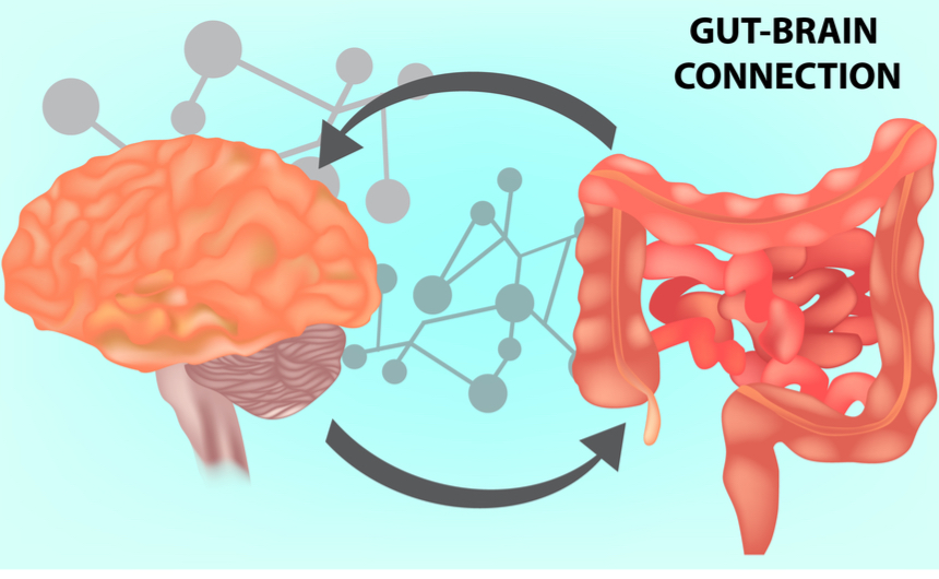 Bağırsaklar Neden İkinci Beyin?